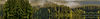Light - Big Horizontal image 1.jpg